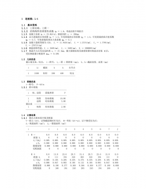 ������ L-1 ������.jpg